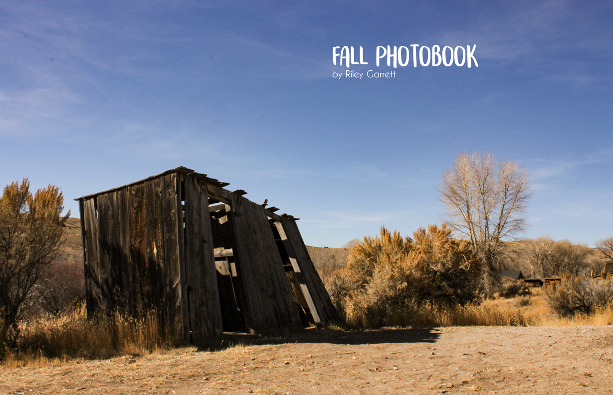 file:///Users/admin/Desktop/fallphotobookcomplete.pdf