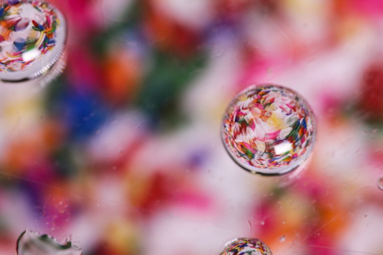 RileyGarrett-macrowater2